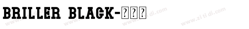 Briller Black字体转换
